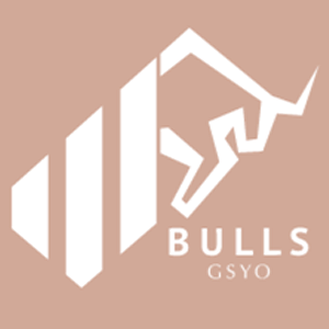 Bulls Girişim Sermayesi Yatırım Ortaklığı A.Ş. logo