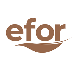 Efor Yatırım Sanayi Ticaret A.Ş. logo
