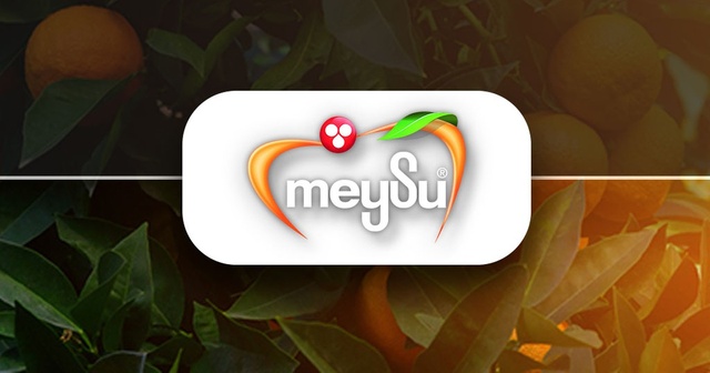 Meysu Gıda Halka Arz Bilgileri